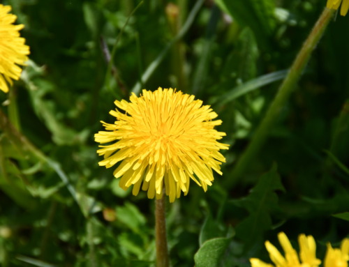 Regionalgruppe Ebersberg nimmt Fahrt auf