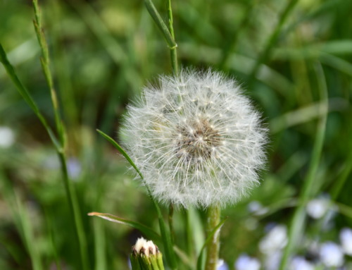 Erste öffentliche Veranstaltung 25.09.2020 GWÖ Gruppe Ebersberg