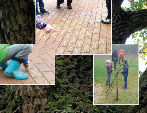„Habt ihr auch was für Grundschule?“