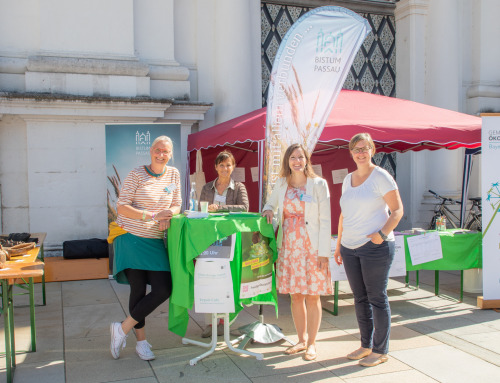 10 Jahre Laudato Si – Ausstellung Domplatz, Passau