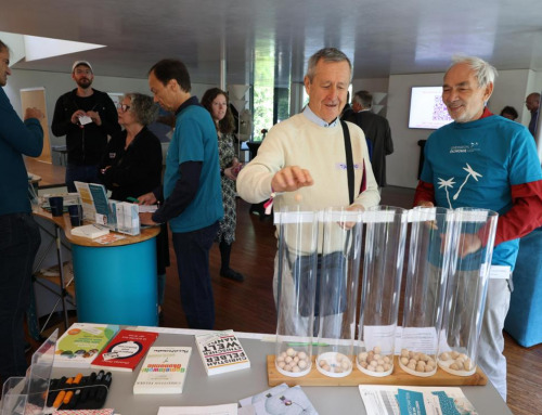 GWÖ ernsthaft-spielerisch unterwegs